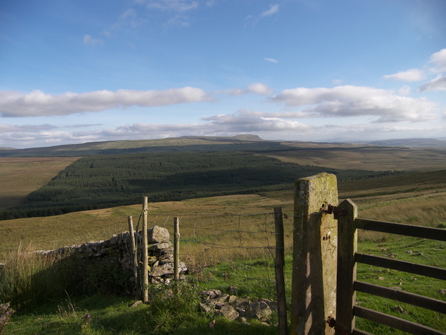 A distant Pen y ghent from the Cam High Road